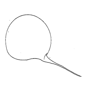 speciesimage