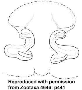 speciesimage