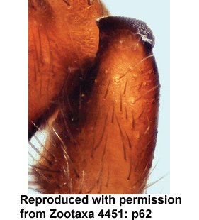 speciesimage