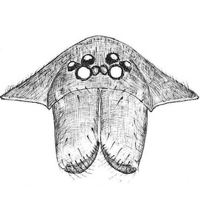 species