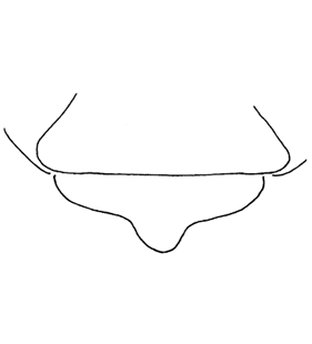 speciesimage
