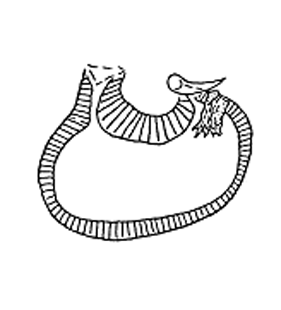 speciesimage