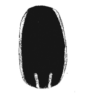 speciesimage