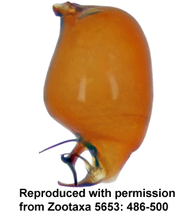 speciesimage
