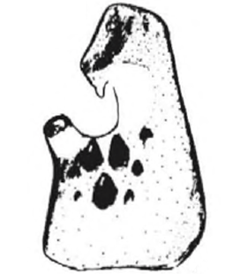 speciesimage