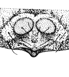 speciesimage