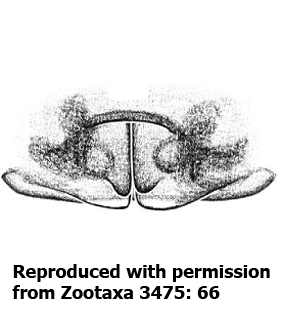speciesimage