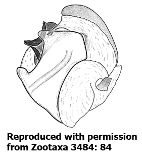 speciesimage