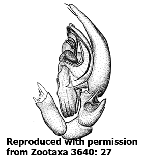 speciesimage