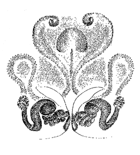 speciesimage