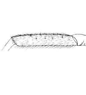 species