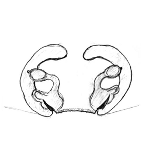speciesimage