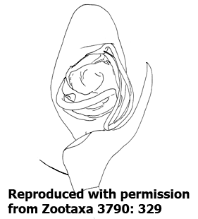 speciesimage