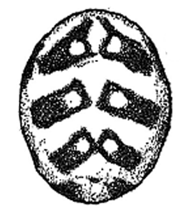 speciesimage