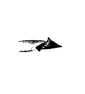speciesimage