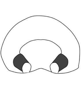 speciesimage