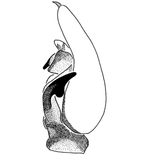 speciesimage