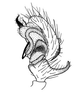speciesimage