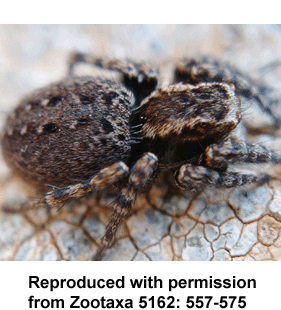 speciesimage