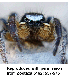 speciesimage