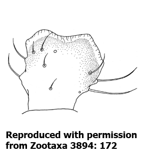 speciesimage