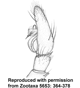 speciesimage