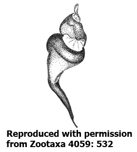 speciesimage