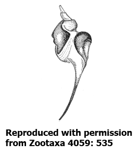 speciesimage