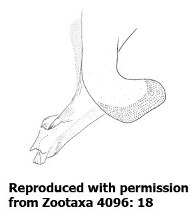 speciesimage