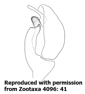 speciesimage
