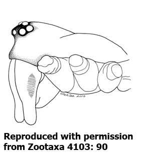 speciesimage