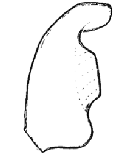 speciesimage