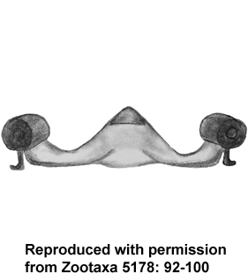 speciesimage