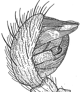 speciesimage