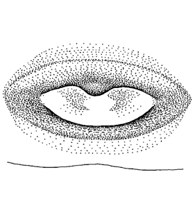 speciesimage