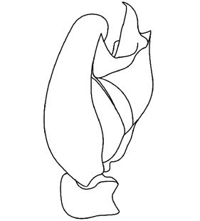 speciesimage