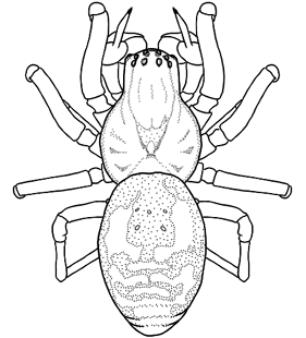 speciesimage