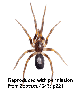 speciesimage