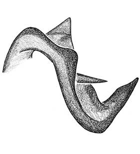 speciesimage