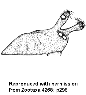 speciesimage