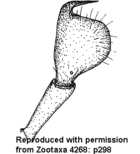 speciesimage