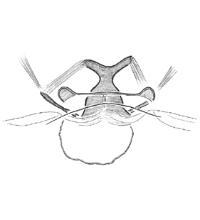 speciesimage