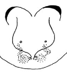 speciesimage