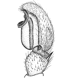 speciesimage
