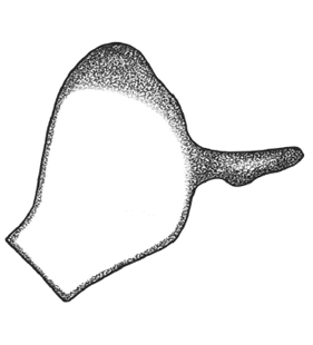 speciesimage