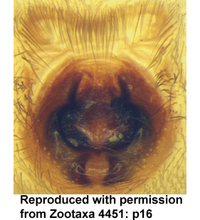 speciesimage