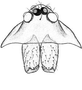 speciesimage