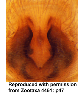 speciesimage