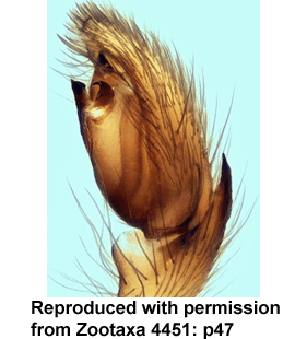 speciesimage
