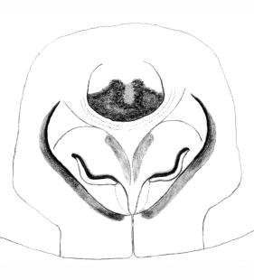 speciesimage